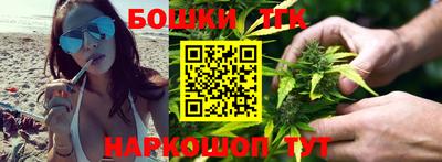 шишки Новокубанск