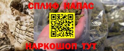 шишки Новокубанск