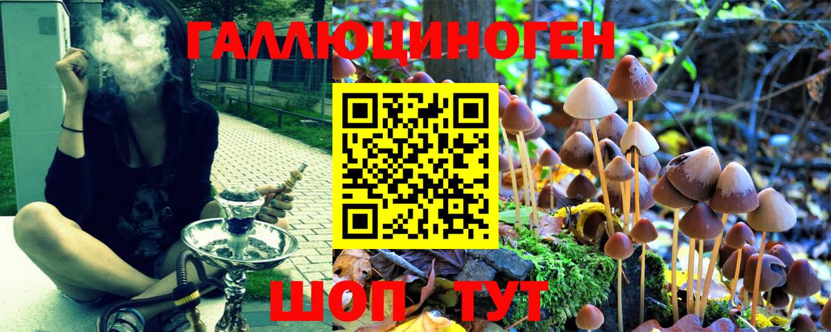 Псилоцибиновые грибы Magic Shrooms Рузаевка