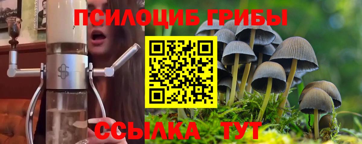 Галлюциногенные грибы прущие грибы  Вход с VPN  Галлюциногенные грибы ЛСД  Рузаевка 
